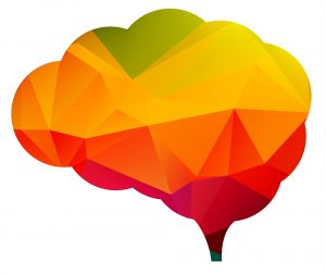 color_brain